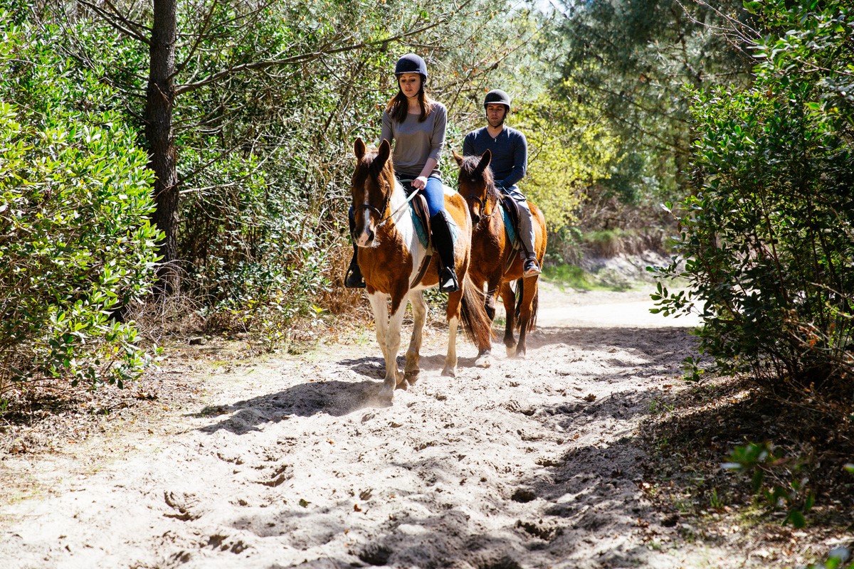 notre week-end au Cap Ferret : faire du cheval dans la foret